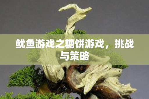 鱿鱼游戏之糖饼游戏图片