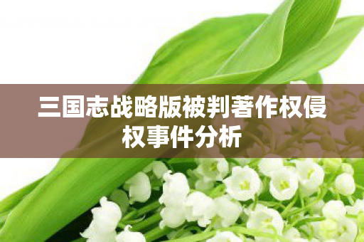 三国志战略版被判著作权侵权事件分析图片