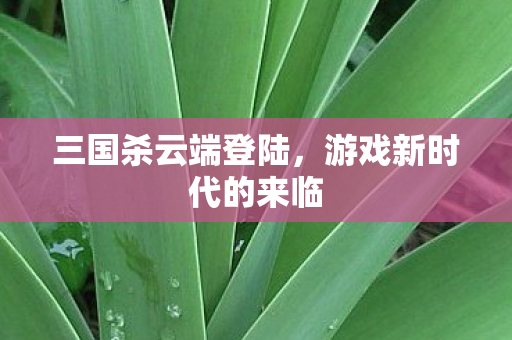 游戏新时代的来临图片