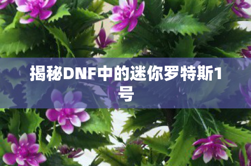 揭秘DNF中的迷你罗特斯1号图片