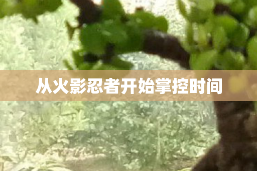 从火影忍者开始掌控时间图片