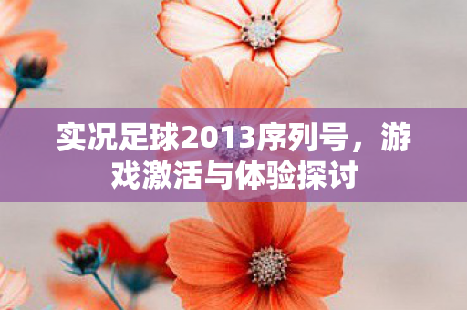 实况足球2013序列号图片