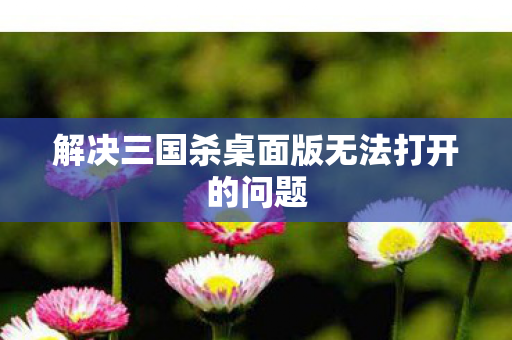 解决三国杀桌面版无法打开的问题图片