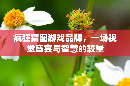 一场视觉盛宴与智慧的较量图片