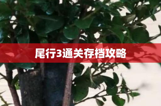 尾行3通关存档攻略图片
