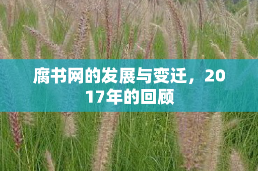 腐书网的发展与变迁图片