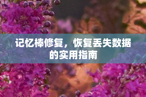 恢复丢失数据的实用指南图片