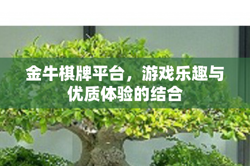 游戏乐趣与优质体验的结合图片