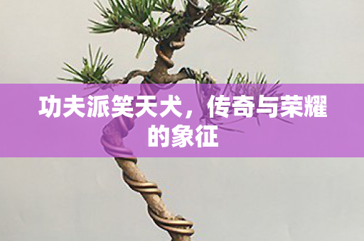 传奇与荣耀的象征图片