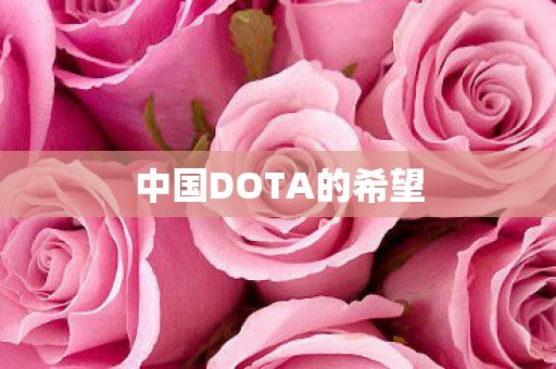 中国DOTA的希望图片