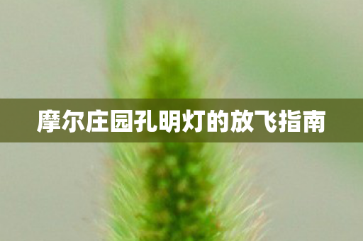 摩尔庄园孔明灯的放飞指南图片