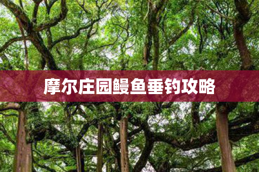 摩尔庄园鳗鱼垂钓攻略图片
