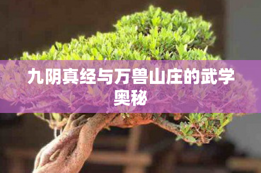 九阴真经与万兽山庄的武学奥秘图片