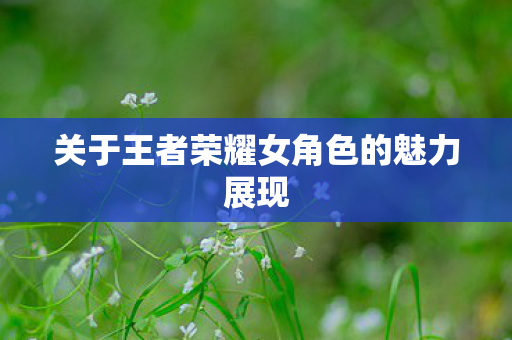 关于王者荣耀女角色的魅力展现图片