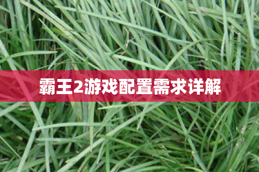 霸王2游戏配置需求详解图片