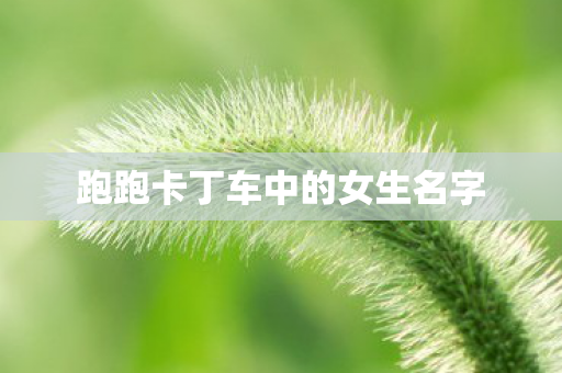 跑跑卡丁车中的女生名字图片