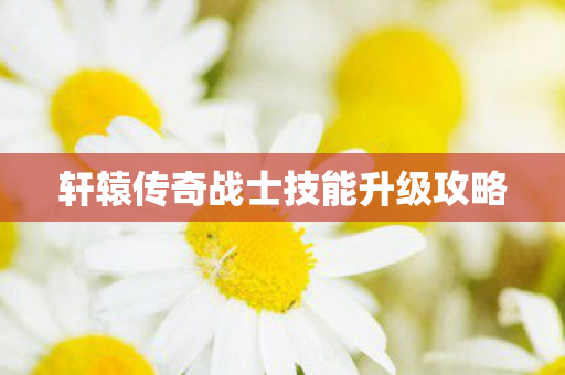 轩辕传奇战士技能升级攻略图片