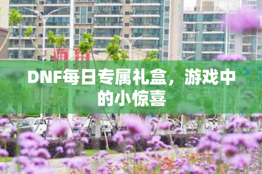 DNF每日专属礼盒图片