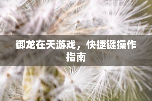 快捷键操作指南图片