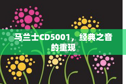 马兰士CD5001图片