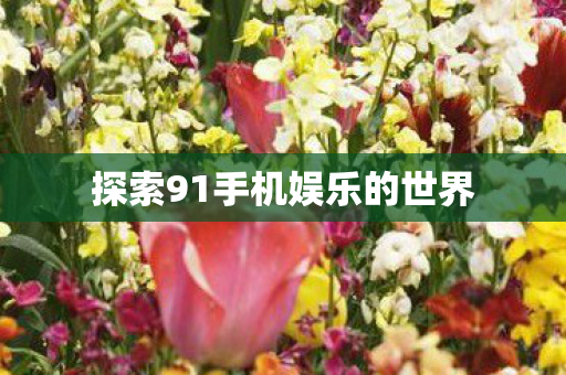 探索91手机娱乐的世界图片