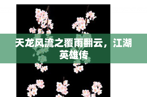 天龙风流之覆雨翻云图片