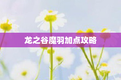 龙之谷魔羽加点攻略图片