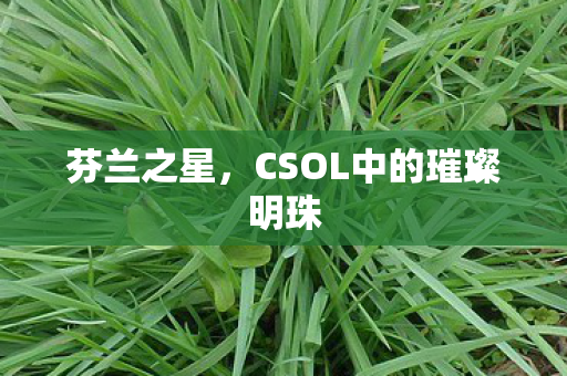 CSOL中的璀璨明珠图片