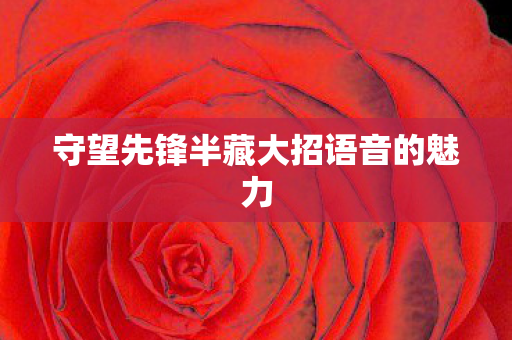 守望先锋半藏大招语音的魅力图片