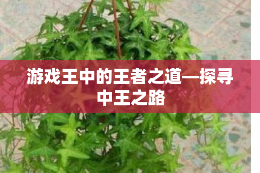 游戏王中的王者之道图片