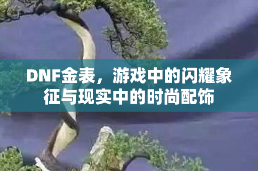 游戏中的闪耀象征与现实中的时尚配饰图片