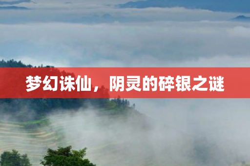 阴灵的碎银之谜图片