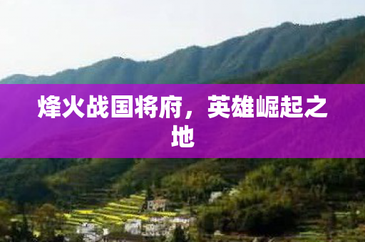烽火战国将府图片