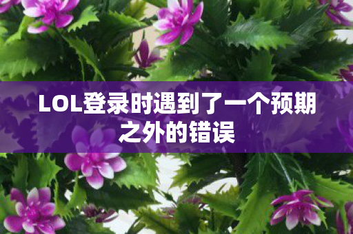 LOL登录时遇到了一个预期之外的错误图片