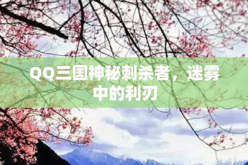 QQ三国神秘刺杀者图片