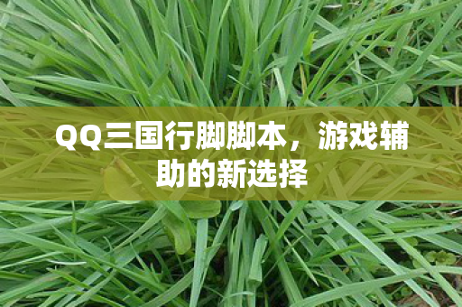 QQ三国行脚脚本图片
