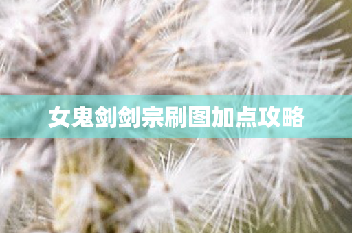 女鬼剑剑宗刷图加点攻略图片