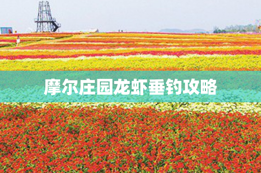 摩尔庄园龙虾垂钓攻略图片