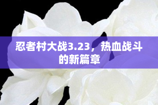 热血战斗的新篇章图片