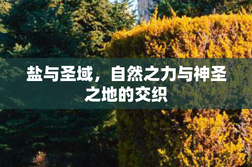 自然之力与神圣之地的交织图片