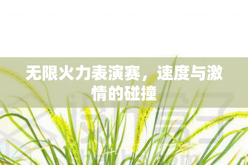 速度与激情的碰撞图片