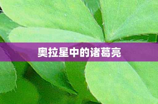 奥拉星中的诸葛亮图片