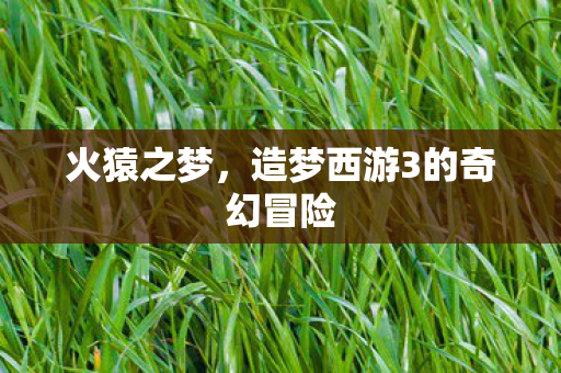 造梦西游3的奇幻冒险图片