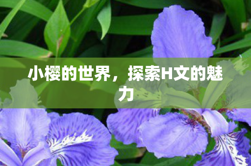 探索H文的魅力图片