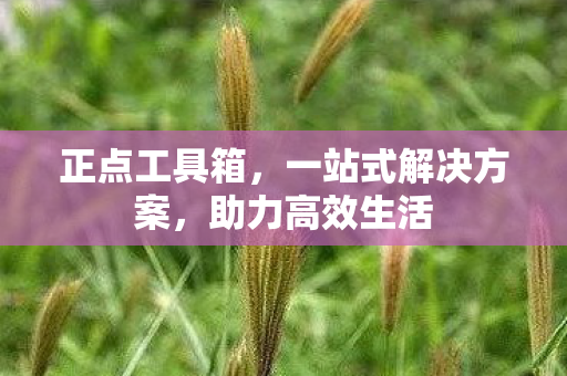 一站式解决方案图片