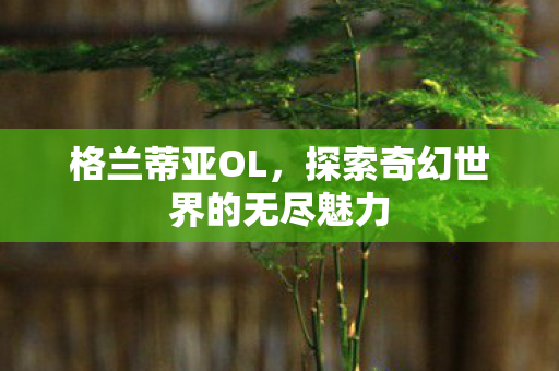 探索奇幻世界的无尽魅力图片