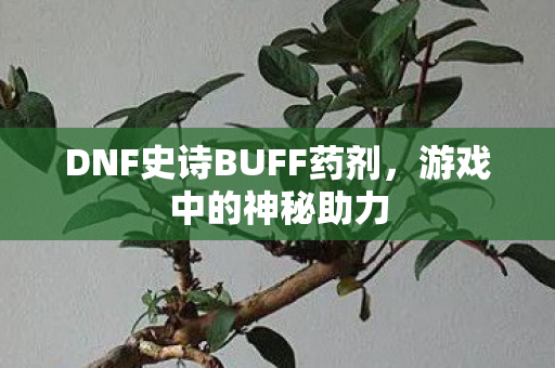 DNF史诗BUFF药剂图片