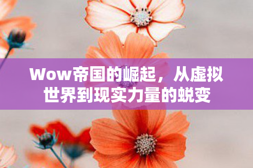 从虚拟世界到现实力量的蜕变图片