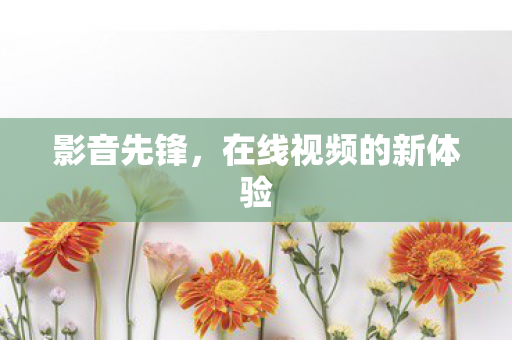 在线视频的新体验图片
