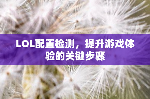 提升游戏体验的关键步骤图片